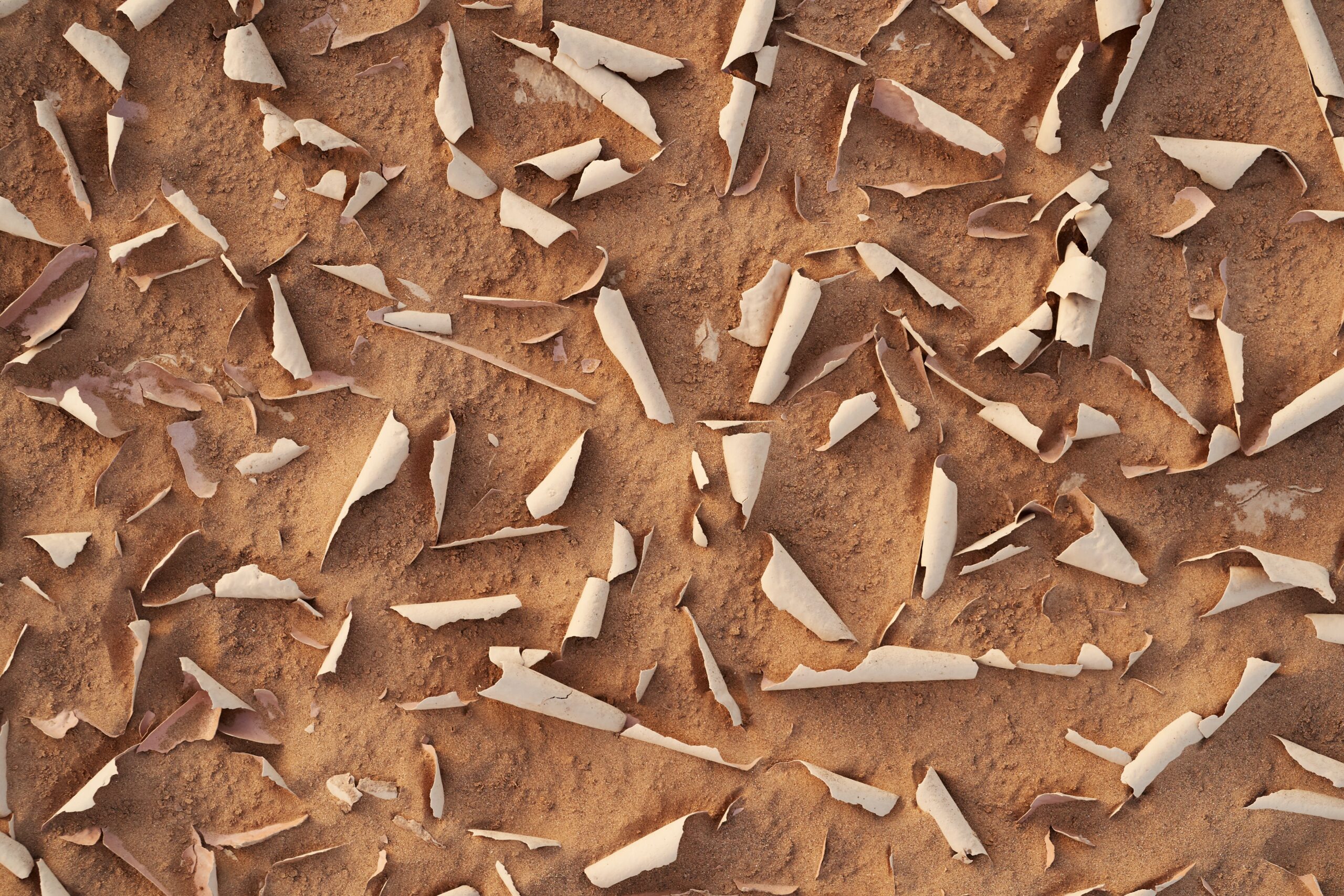 Sandiger Boden mit abgeblätterten Papierstücken sinnbildlich für Analfissur Deumavan®